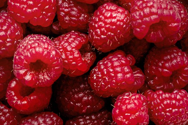 Fresh raspberries flat lay food photography